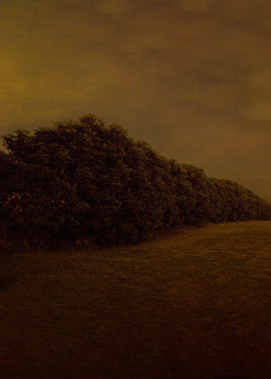 Untitled study — 2015