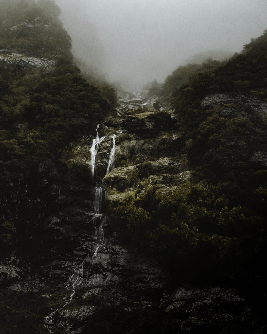 Ättestupa study, 2019